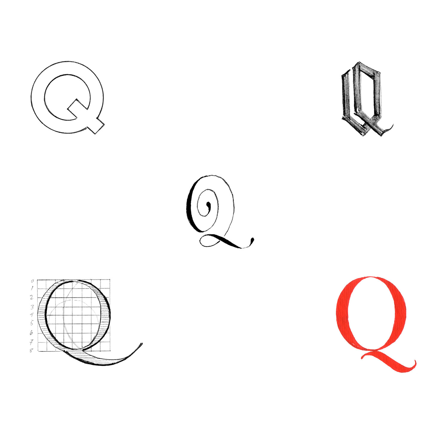 Tania Lee Illustration