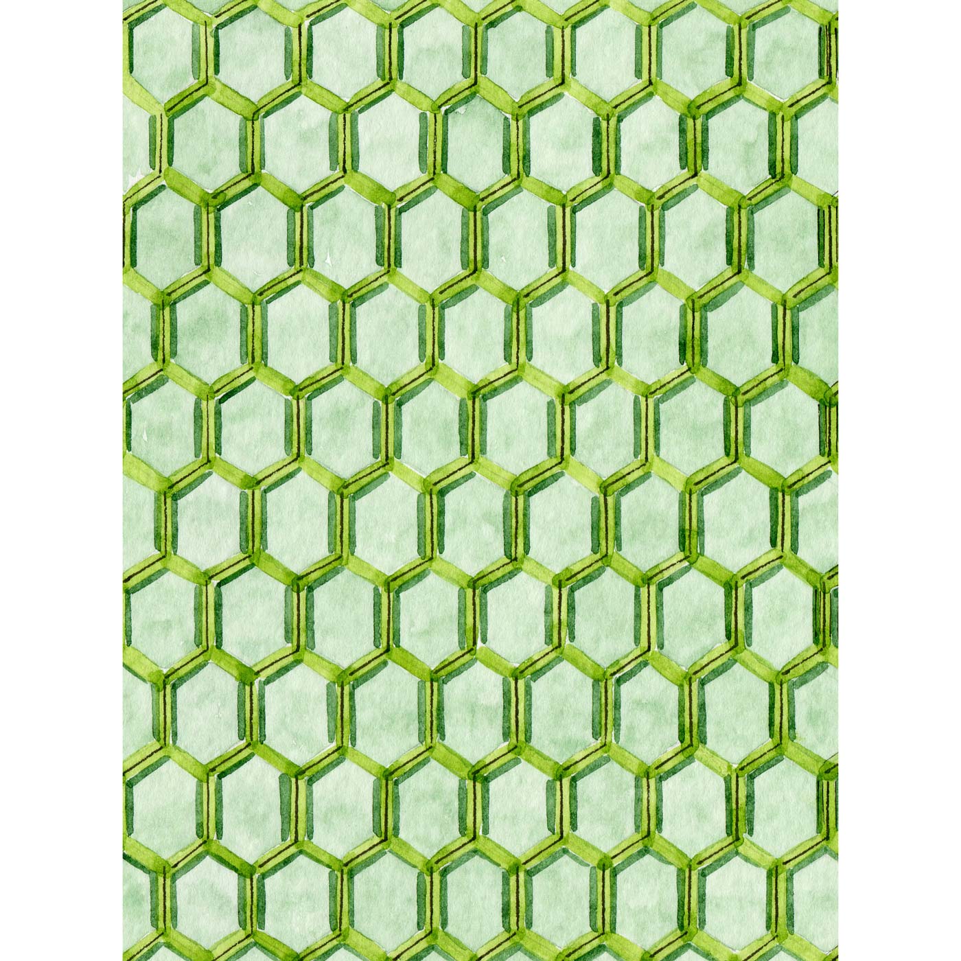 Tania Lee Illustration