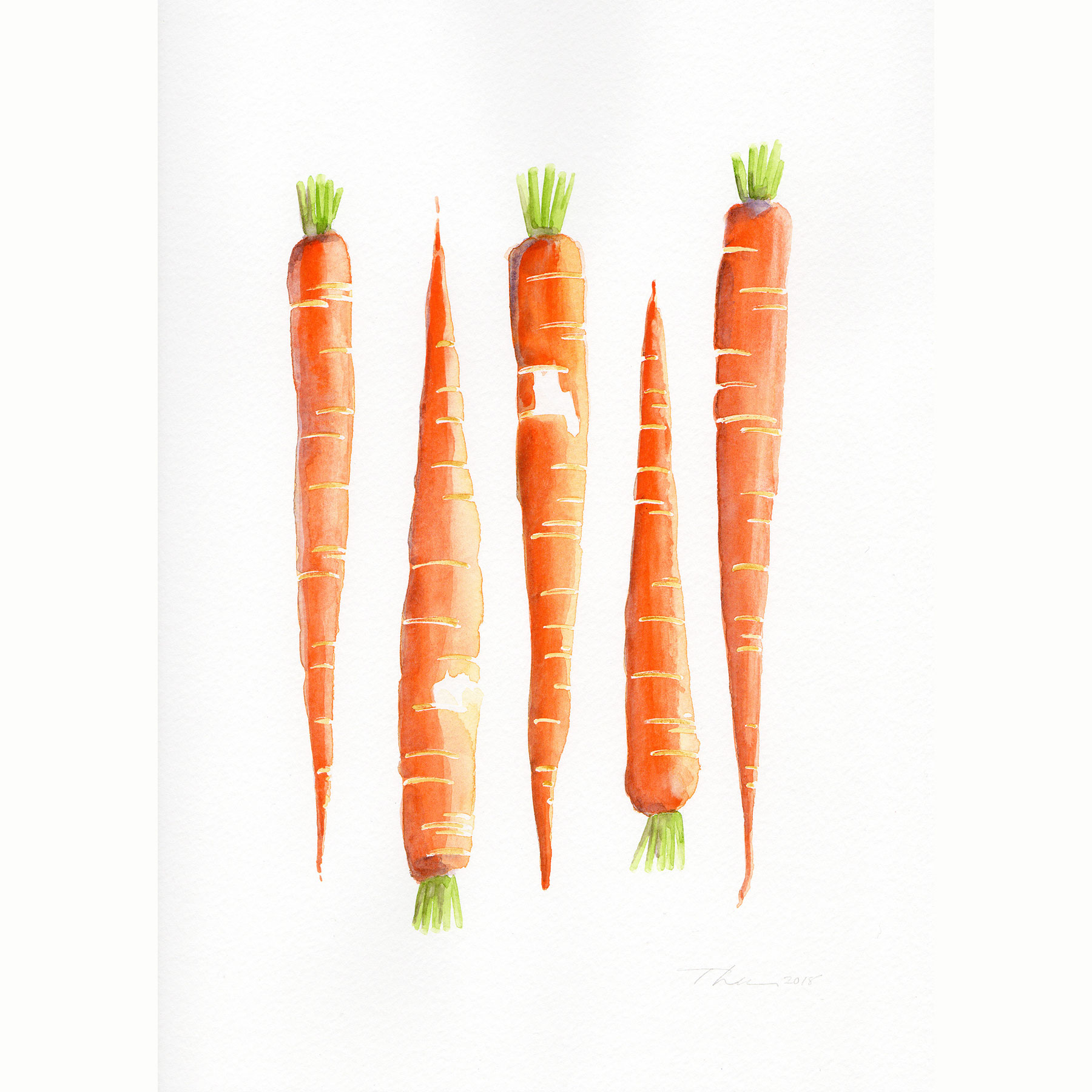 Tania Lee Illustration