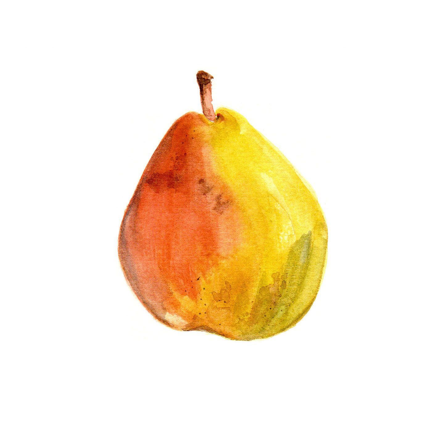 Tania Lee Illustration