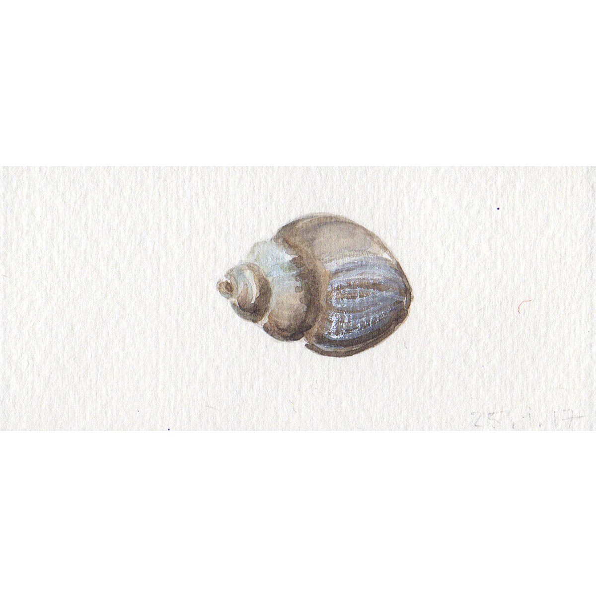 Tania Lee Illustration