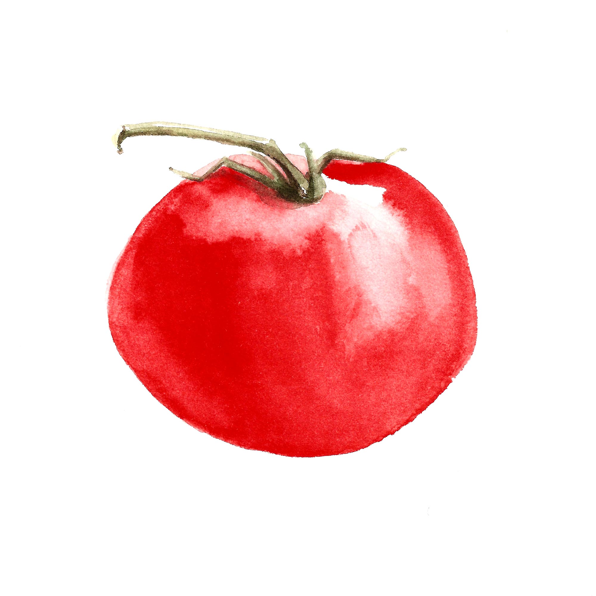 Tania Lee Illustration