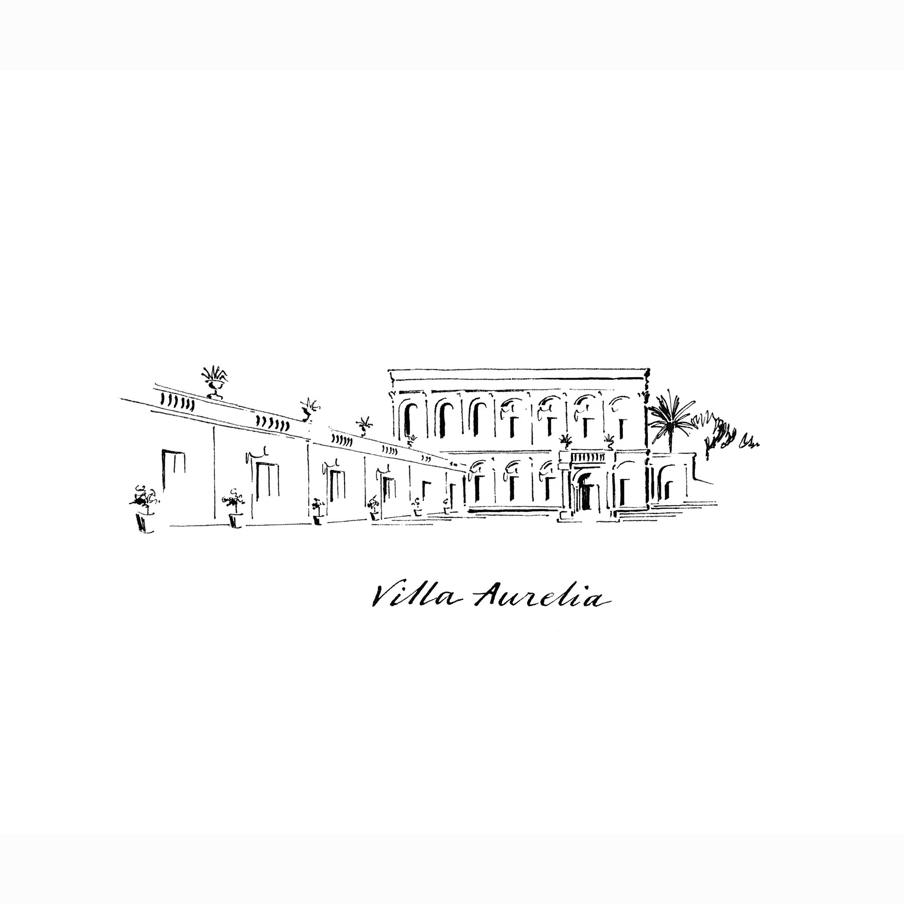 Tania Lee Illustration