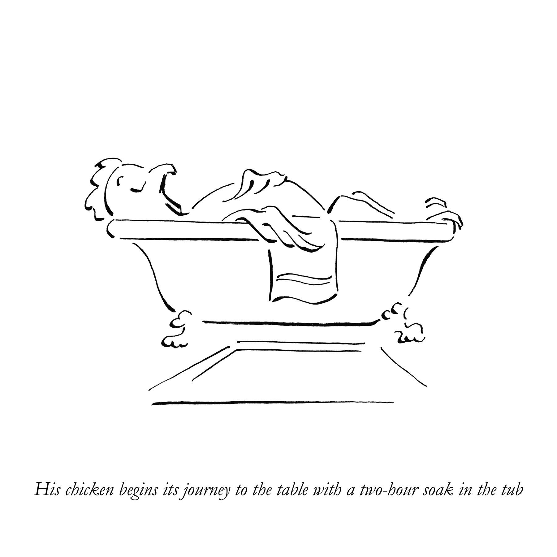 Tania Lee Illustration