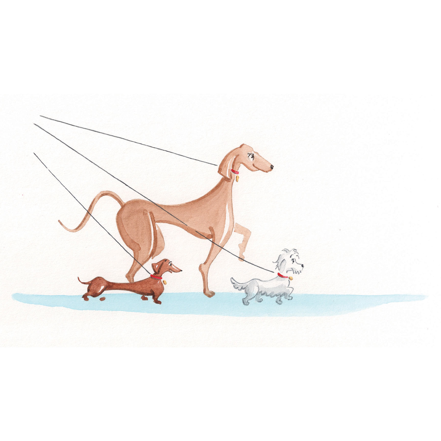 Tania Lee Illustration