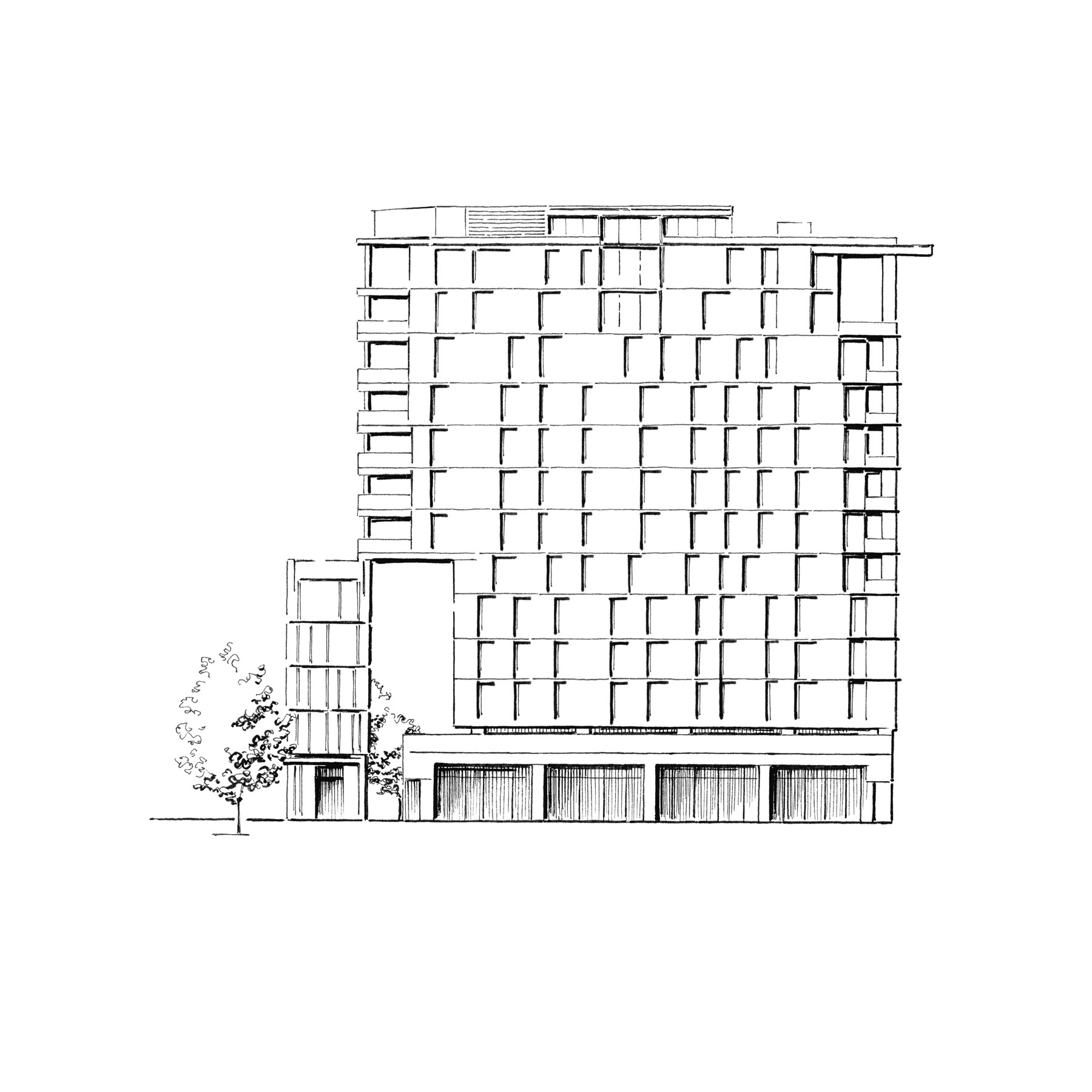 Tania Lee Illustration