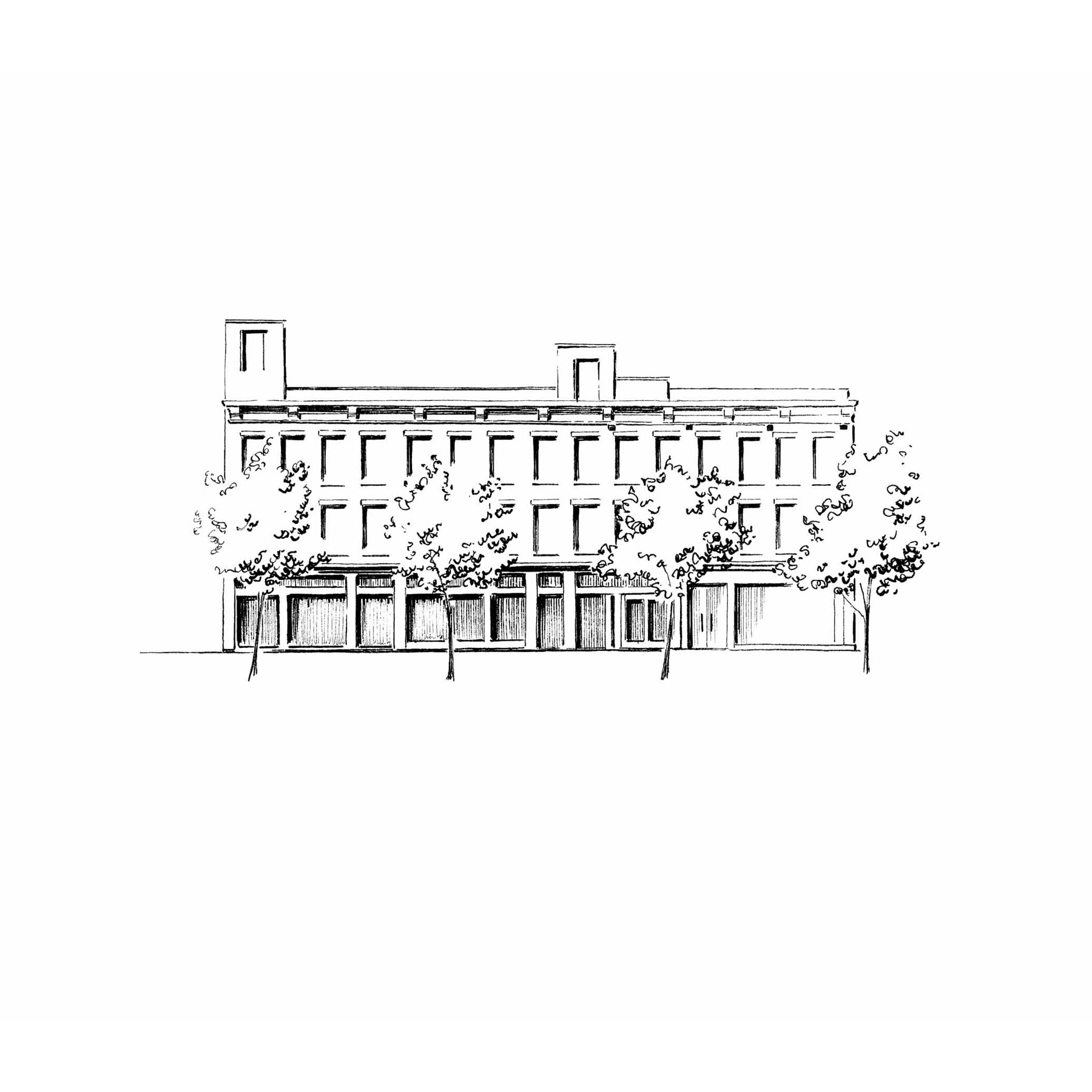 Tania Lee Illustration